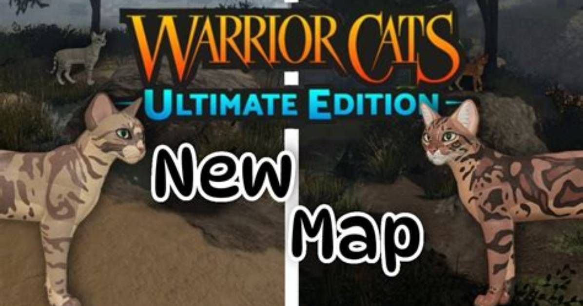 Rubb Map: the Ultimate Guide to Understanding and Utilizing This Advanced Mapping Technology