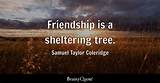 Samuel Taylor Coleridge: 'Friendship Is a Sheltering Tree.'