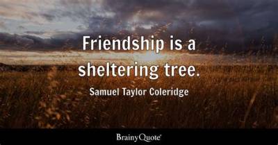 Samuel Taylor Coleridge: 'Friendship Is a Sheltering Tree.'