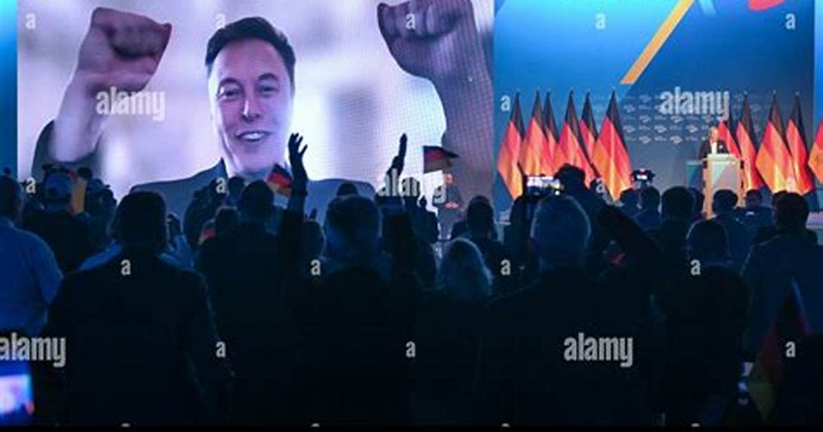 Saxony Musk Latest News Insights: Unveiling the Rising Star
