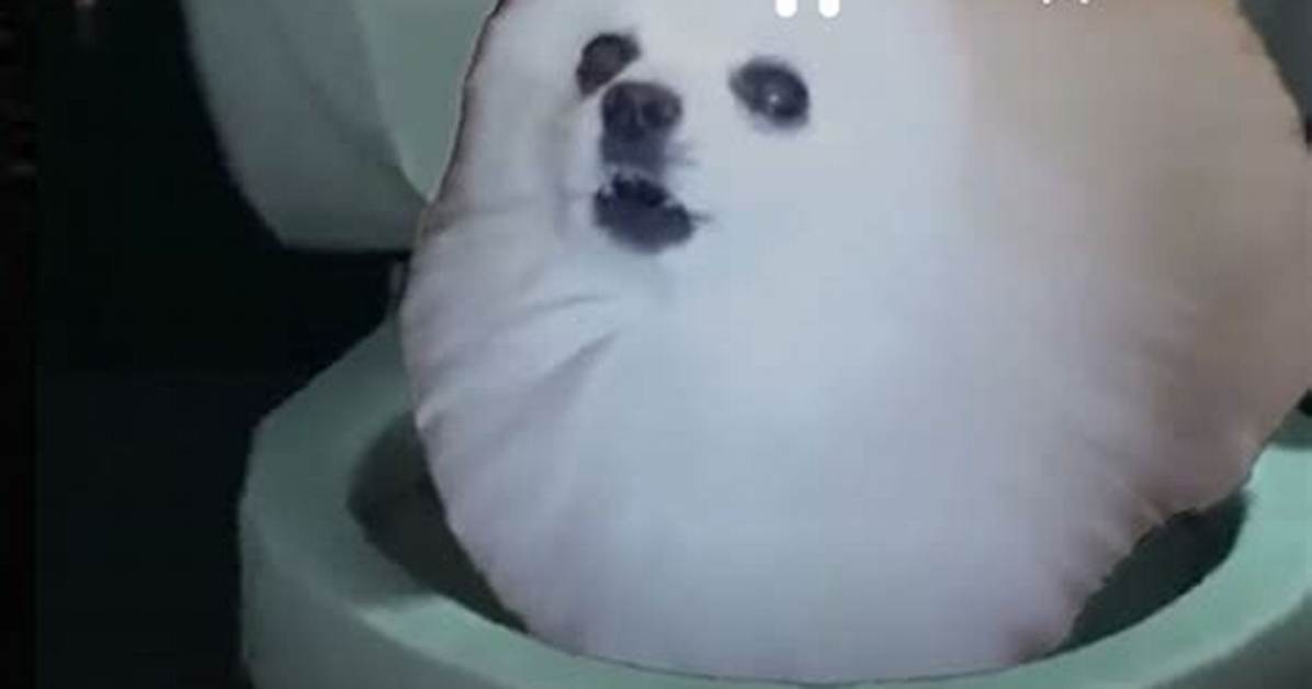 Scariest Kirby Dog Incident Ever: Unveiling the Terrifying Truth