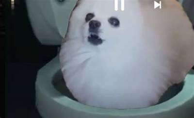 Scariest Kirby Dog Incident Ever: Unveiling the Terrifying Truth