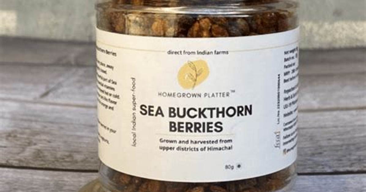Sea Buckthorn Berries Where to Buy
