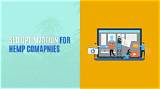 Seo for Cbd Websites: a Comprehensive Guide to Boost Your Online Presence