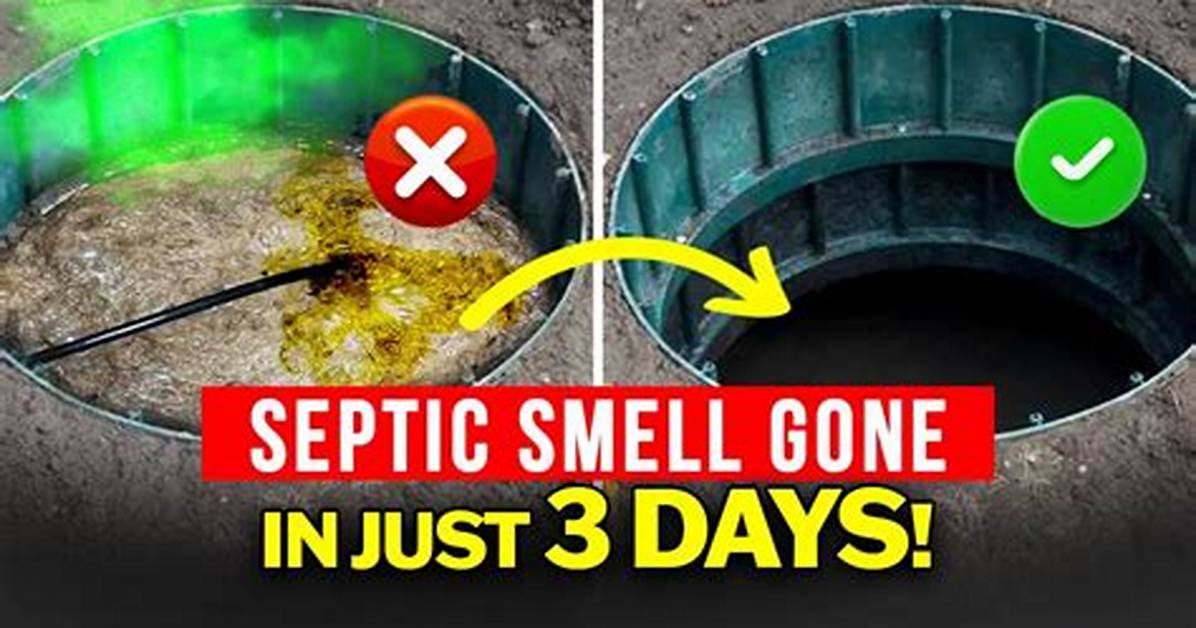 Septic Smells Outside After Using The