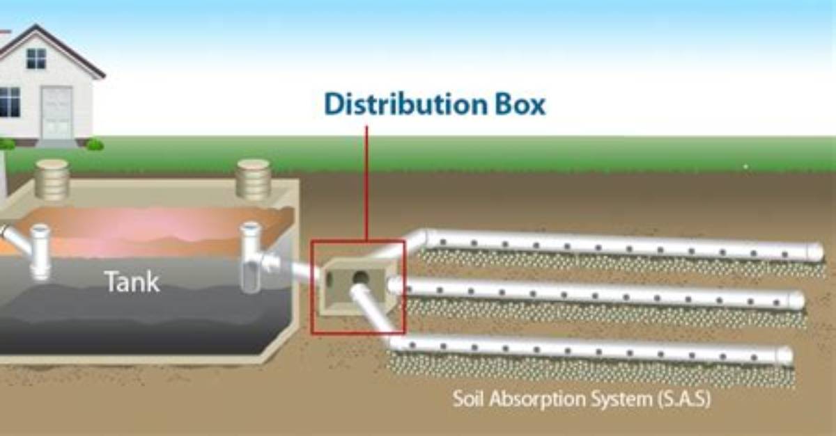 Septic Tank Problems with the Distribution Box
