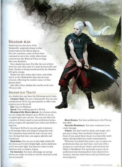 Shadar Kai 5E: a Comprehensive Guide to the Shadowy Race of Dungeons and Dragons