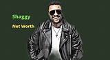 Shaggy’s Net Worth, Biography, Fact, Career, Awards and Life Story