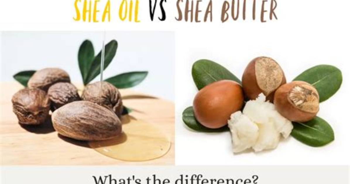 Shea