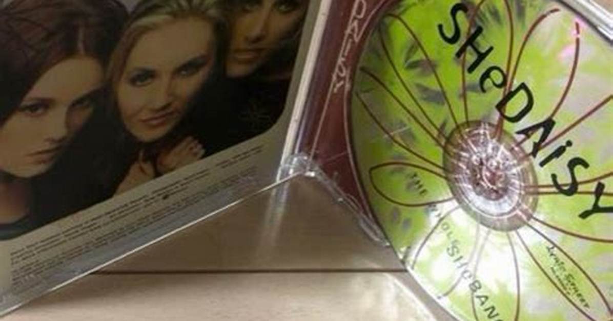 Shedaisy Net Worth