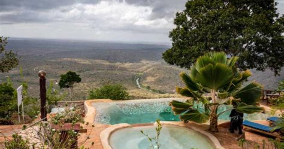 Shimba Hills Green Safari