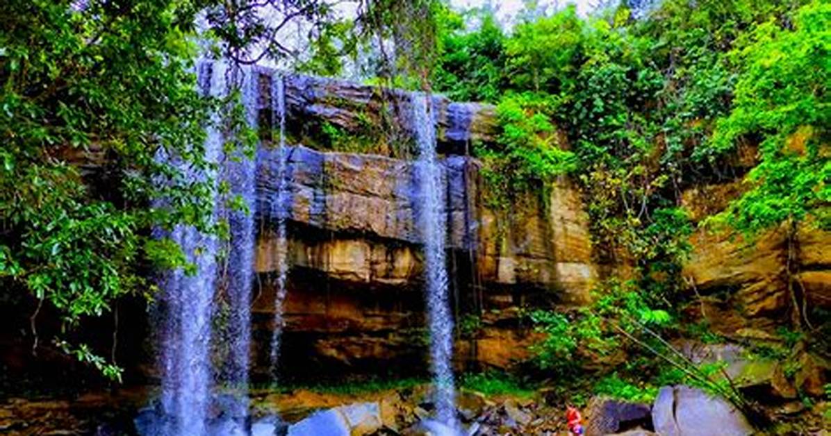 Shimba Hills