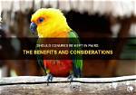 Should Conures Be Paired?
