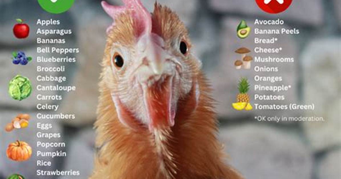 Should I Add Anything to My Chickens Water?