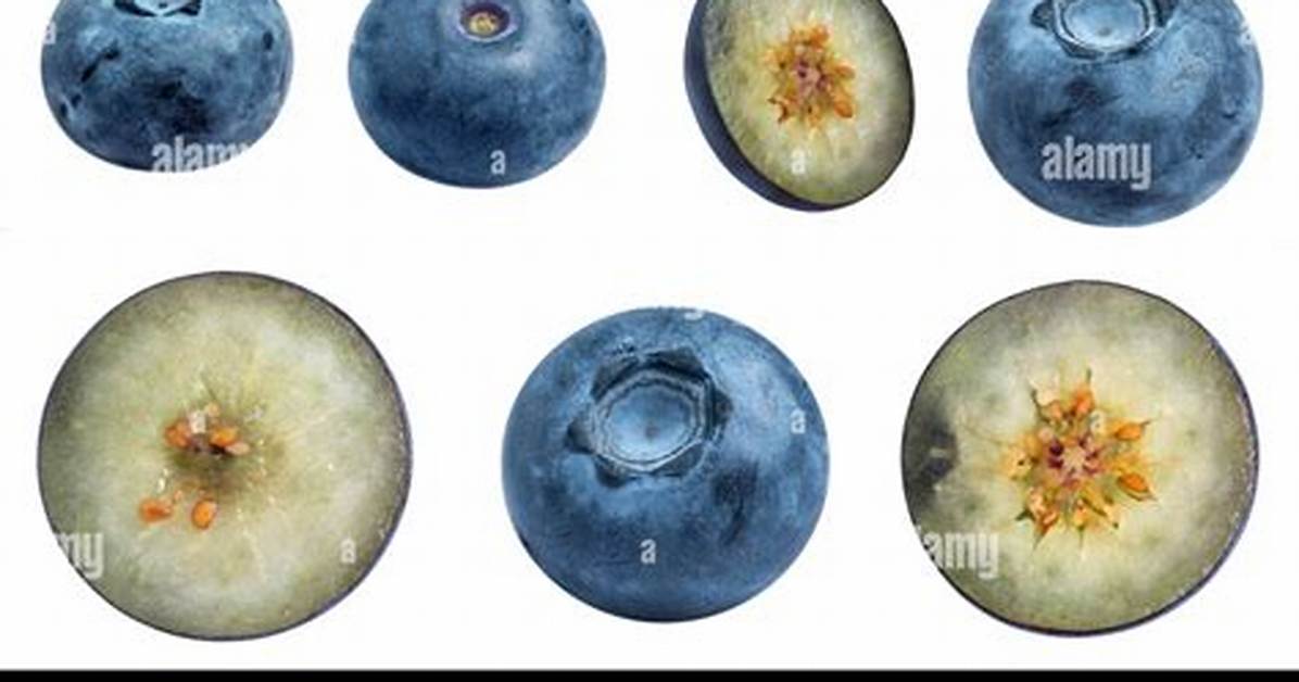 Should I Cut Blueberries in Half for Toddler?