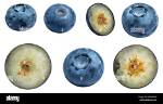 Should I Cut Blueberries in Half for Toddler?