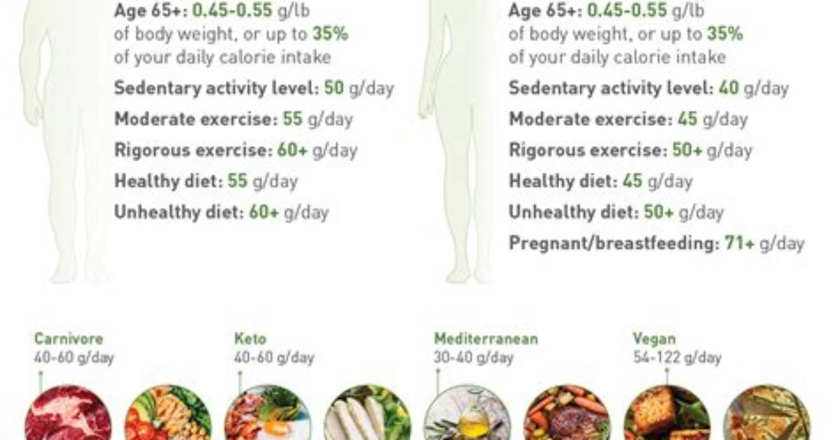 Should I Eat More Protein on Leg Day?