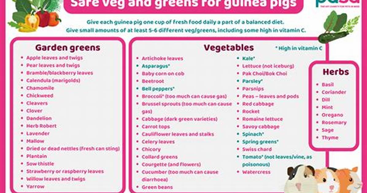 Should I Feed My Guinea Pig Vegetables Everyday?