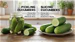 Should I Peel Cucumbers for Pickling?
