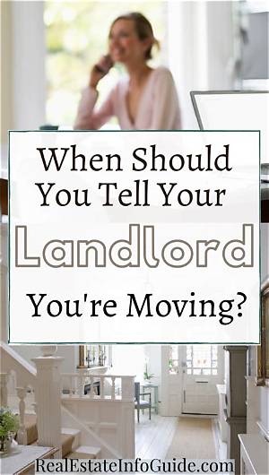 Should I Tell My Landlord If I See a Cockroach?