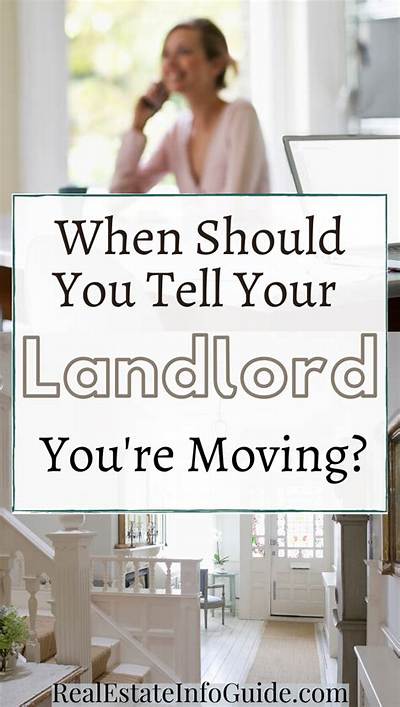 Should I Tell My Landlord If I See a Cockroach?