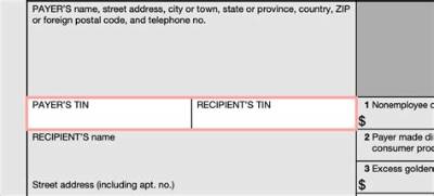 Should I Unmask Tin on 1099 Forms?