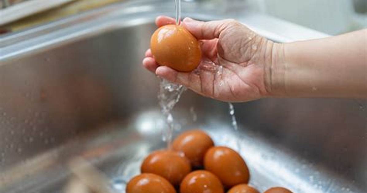 Should I Wash the Eggs?