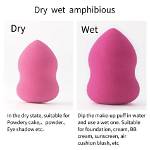 Should Makeup Sponge Be Wet or Dry?