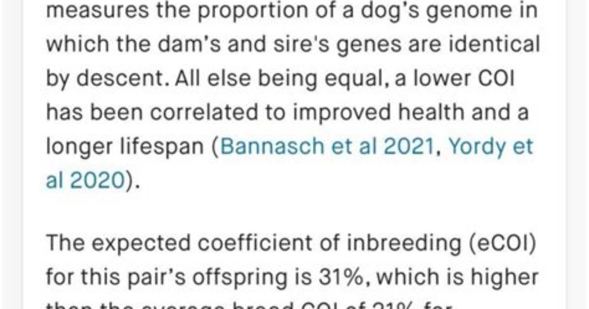 Should You Inbred Dogs?