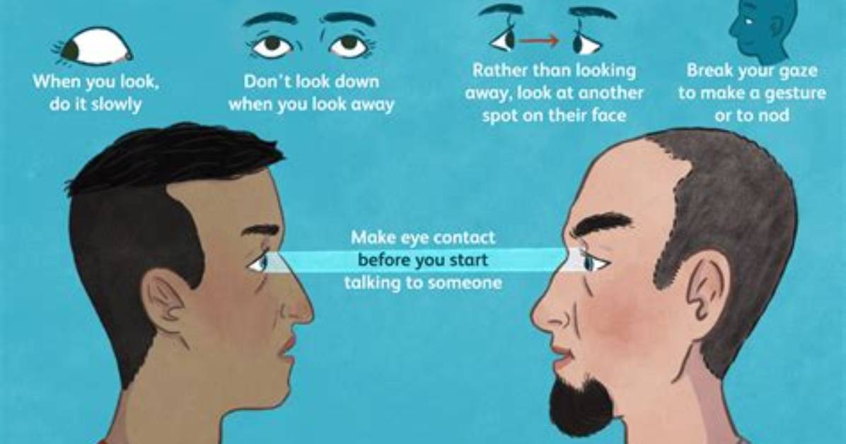 Should You Make Eye Contact with a Cat?