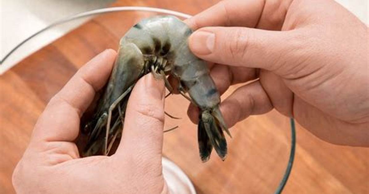 Should You Rinse Raw Shrimp from the Store?