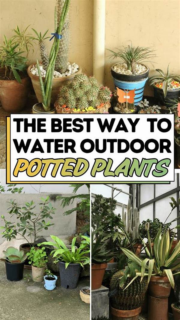 Should You Water Outdoor Potted Plants Every Day?