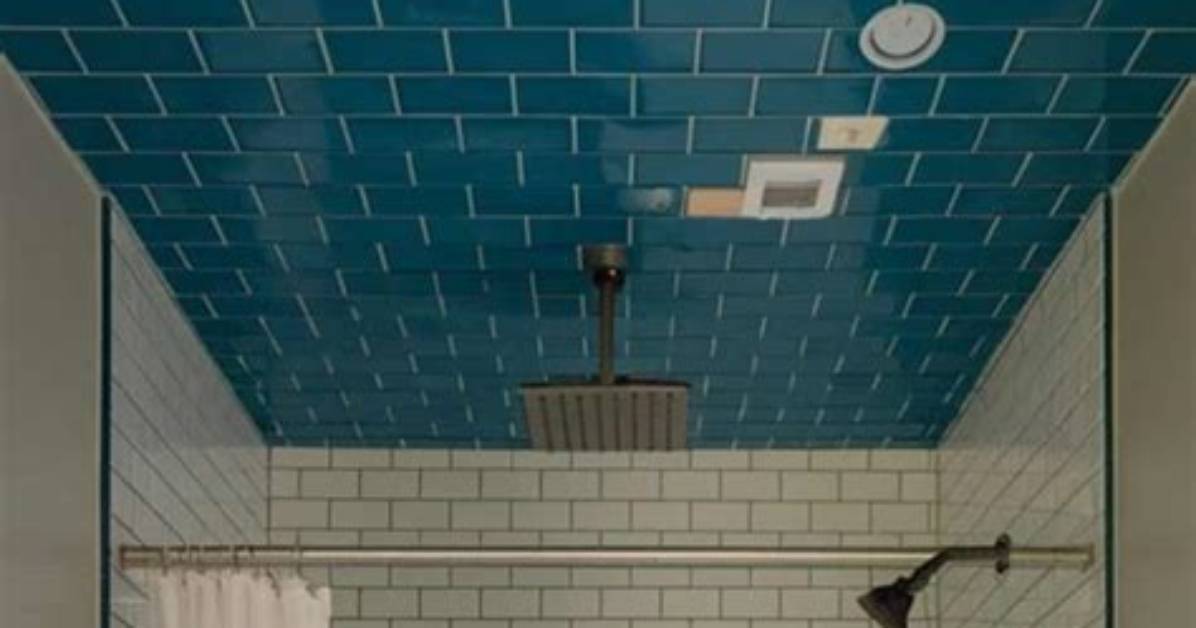 Shower Ceiling Ideas