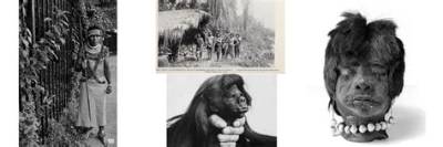 Shrunken Heads: the Fascinating History and Cultural Significance