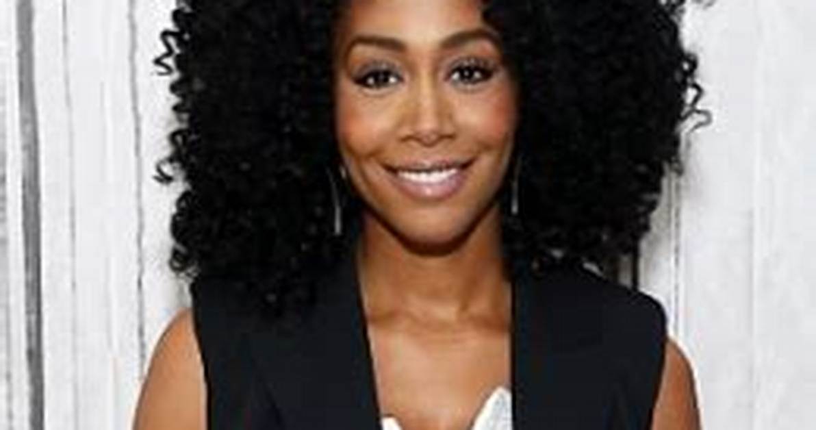 Simone Missick Net Worth, Income, Salary, Earnings, Biography