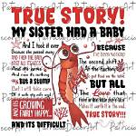 Sister Had a Baby Shrimp: a Comprehensive Guide to Raising and Caring for Baby Shrimp
