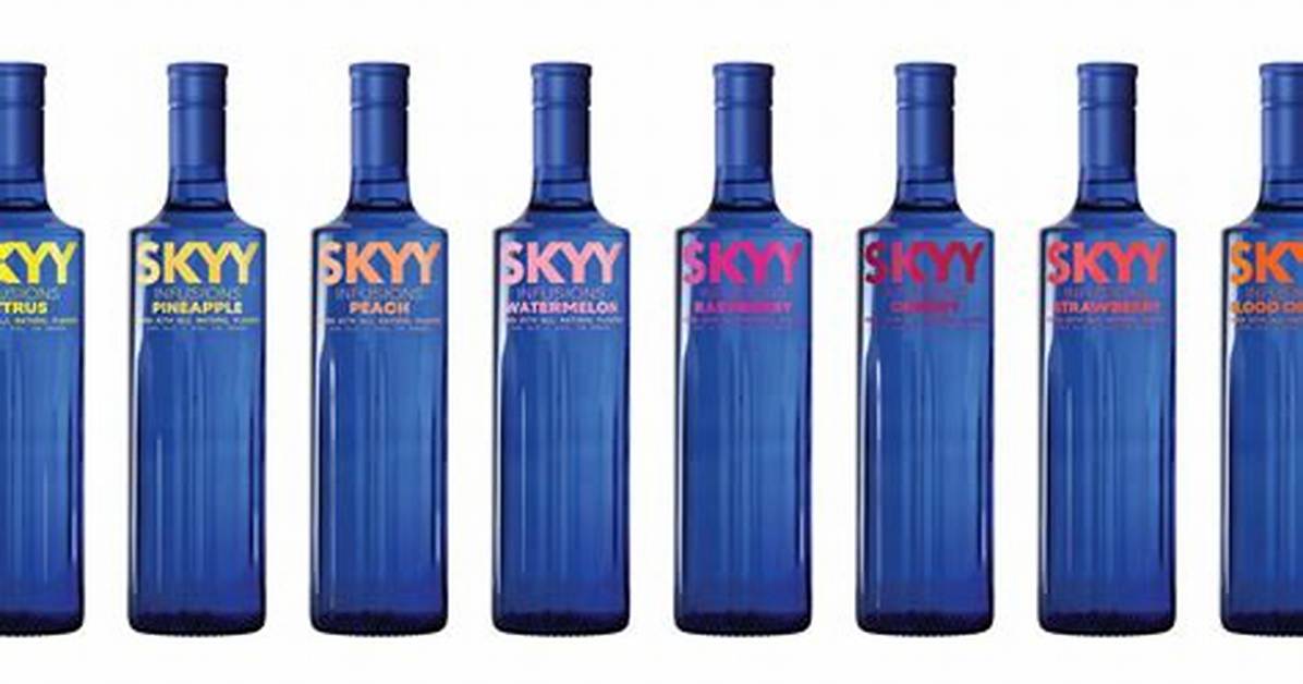 Skyy Black Net