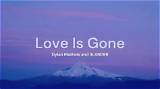 Slander – Love Is Gone (Mp3 Download)