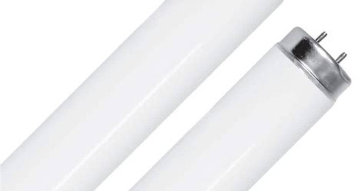 Standard Florescent Light