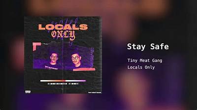 Stay Safe by Tiny Meat Gang / Tmg from Usa