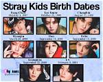 Stray Kids Ages: a Comprehensive Look at the Members' Ages and Profiles