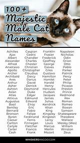 Strong Male Cat Names: a Comprehensive Guide to Choosing the Perfect Name