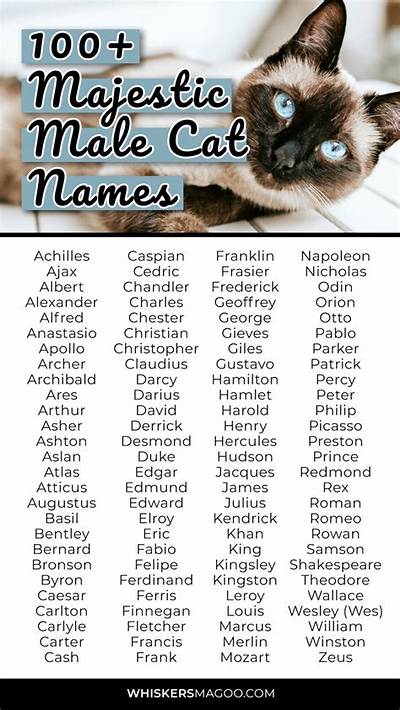 Strong Male Cat Names: a Comprehensive Guide to Choosing the Perfect Name