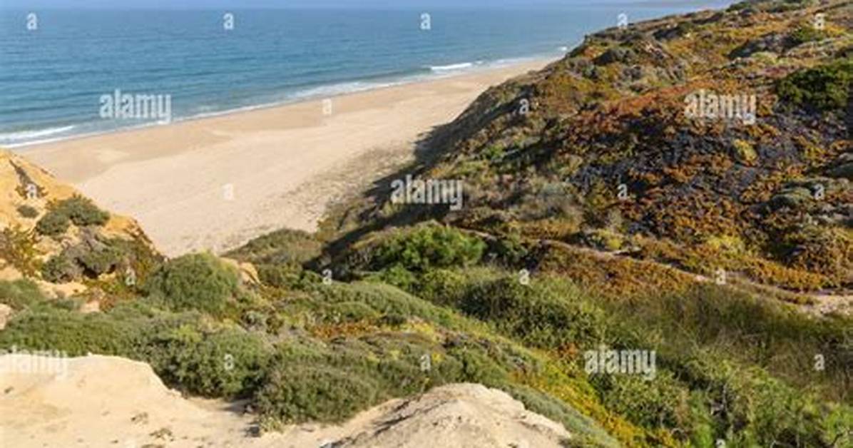 Stunning Naturist Beach Photos