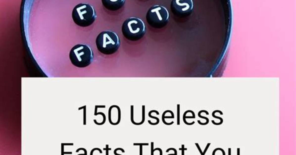 Stupid Useless Facts