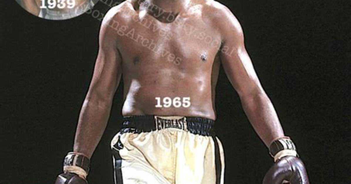 Sugar Ray Robinson You Always Say I Ll Quit When I Start to Slide and Then One Morning You Wake up and Realize You Ve Done