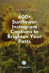 Sunflower Captions: Brighten Your Social Media with the Perfect Words