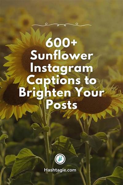 Sunflower Captions: Brighten Your Social Media with the Perfect Words
