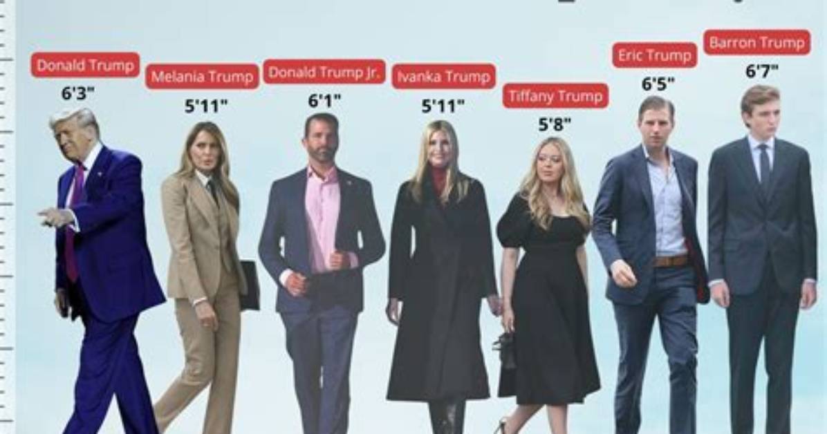 Surprising Statistics Trump S Children Heights