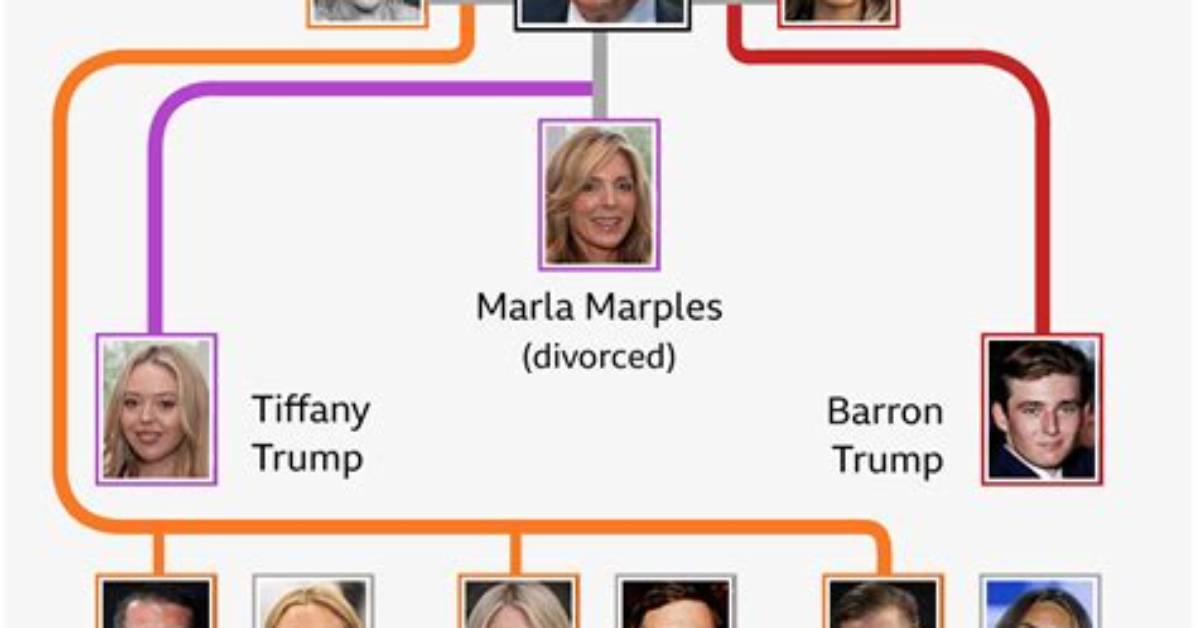 Surprising Statistics Trump S Children